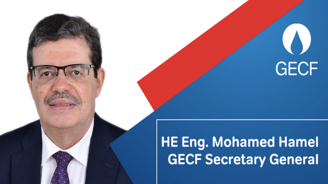 GECF : l’Algérien Mohamed Hamel prend ses fonctions