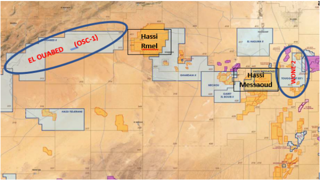 Nouvelles découvertes de réserves en pétrole et en gaz annoncées par la Sonatrach